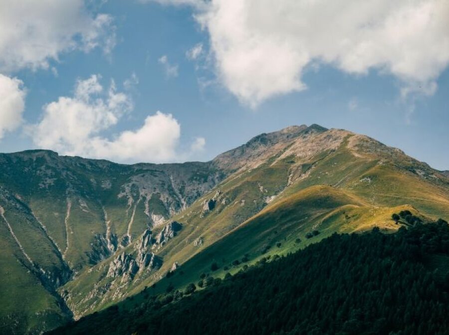 landscape landscape