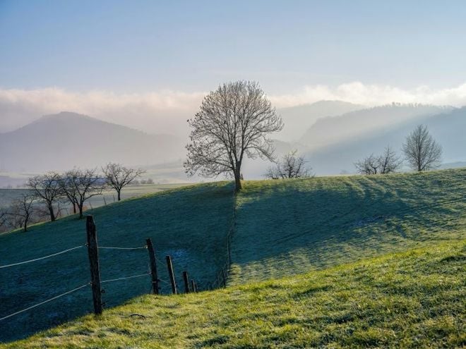 winter-scene-frost-field winter-scene-frost-field